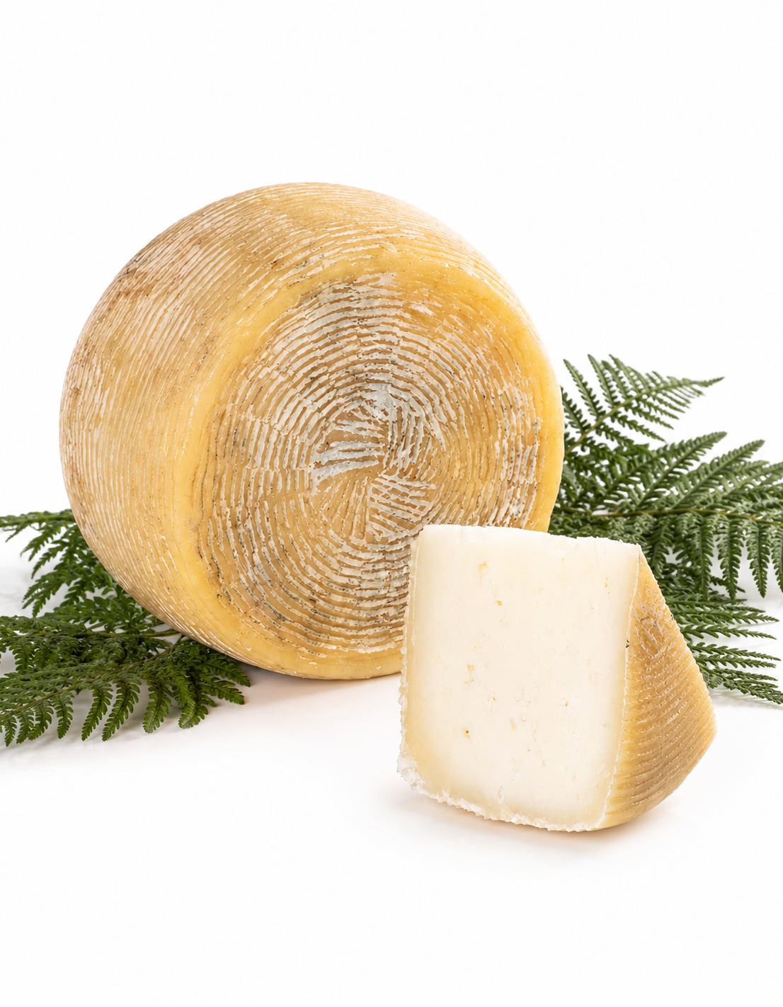 Pecorino Semistagionato, sfondo bianco