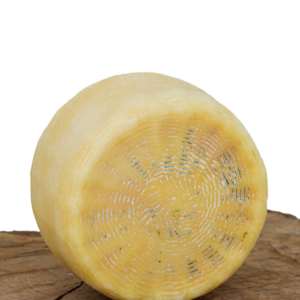 Pecorino Semistagionato
