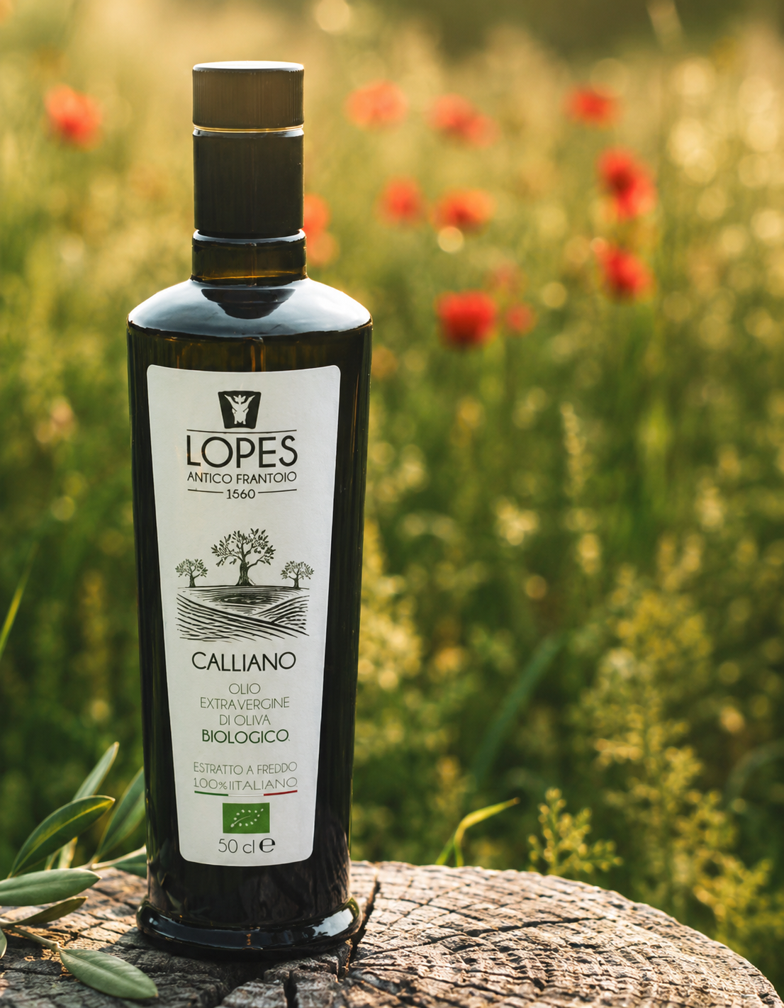 Olio Evo Bio “Calliano”